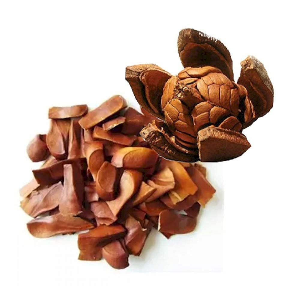 JMN Sugar Badam Kadwa | Bitter Almonds | Traditional Ayurvedic Nut | Fresh & Pure | Natural Wellness Support - Image 2